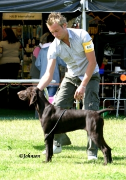 C Lassie Dog Grooming Photo