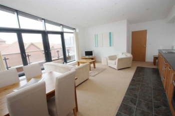 Chester For Sale Photo